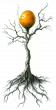 The Glass Wizard_Fantasy Adventure Magic Webnovel by The Duckman_Depressed Wizard Webseries_Psychological Webstory_Scorchborn Sapling 1