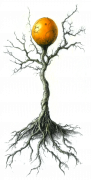 The Glass Wizard_Fantasy Adventure Magic Webnovel by The Duckman_Depressed Wizard Webseries_Psychological Webstory_Scorchborn Sapling 1