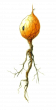 The Glass Wizard_Fantasy Adventure Magic Webnovel by The Duckman_Depressed Wizard Webseries_Psychological Webstory_Scorchborn Sapling 2