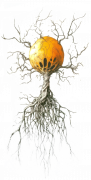 The Glass Wizard_Fantasy Adventure Magic Webnovel by The Duckman_Depressed Wizard Webseries_Psychological Webstory_Scorchborn Sapling 3